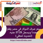 سعر صرف الدولار في مصر يقفز مجددا ويسجل 27.25 جنيه. (تحديث لحظي)