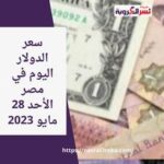 سعر الدولار في مصر الأحد 28 مايو 2023.. العملة المصرية تنتظر التحفيز