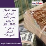 سعر الدولار اليوم في مصر الأحد 4 يونيو 2023.. قلق داخل " السوق السوداء"