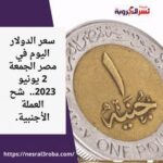سعر الدولار اليوم في مصر الجمعة 2 يونيو 2023.. شح العملة الأجنبية.