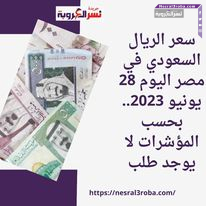 سعر الريال السعودي في مصر اليوم 28 يونيو 2023.. بحسب المؤشرات لا يوجد طلب