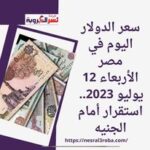 سعر الدولار اليوم في مصر الأربعاء 12 يوليو 2023.. استقرار أمام الجنيه