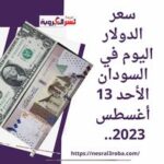 سعر الدولار و العملات في السودان اليوم الأحد 13 أغسطس 2023.. مقابل الجنيه السوداني