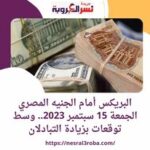 البريكس أمام الجنيه المصري الجمعة 15 سبتمبر 2023.. وسط توقعات بزيادة التبادل