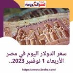 سعر الدولار اليوم في مصر الأربعاء 1 نوفمبر 2023.. مقابل الجنيه