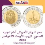 سعر الدولار الأمريكى أمام الجنيه المصري اليوم.. الأربعاء 29 نوفمبر 2023