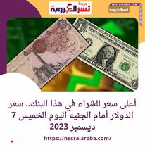 أعلى سعر للشراء.. للدولار في مصر مقابل الجنيه اليوم الخميس 7 ديسمبر 2023 داخل البنوك