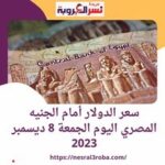 سعر الدولار اليوم مقابل الجنيه في مصر الجمعة 8 ديسمبر 2023