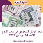 سعر الريال السعودي في مصر اليوم الأحد 24 ديسمبر 2023..وفقا لبيانات