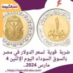 ضربة قوية لسعر الدولار في مصر بالسوق السوداء اليوم الإثنين 4 مارس 2024..