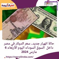 حالة انهيار جديد.. سعر الدولار في مصر داخل السوق السوداء اليوم الأربعاء 6 مارس 2024