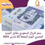 سعر صرف الريال السعودي أمام الجنيه المصري اليوم الجمعة 22 مارس 2024