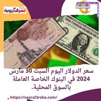 سعر الدولار اليوم السبت 30 مارس 2024 في البنوك الخاصة العاملة بالسوق المحلية.