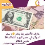 عارف الأخضر بقا بكام ؟ سعر الدولار في مصر اليوم الثلاثاء 26 مارس 2024