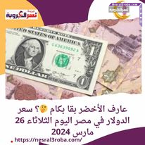 عارف الأخضر بقا بكام ؟ سعر الدولار في مصر اليوم الثلاثاء 26 مارس 2024