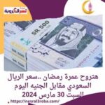 هتروح عمرة رمضان ..سعر الريال السعودي مقابل الجنيه اليوم السبت 30 مارس 2024
