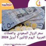 سعر الريال السعودي والعملات العربية اليوم الإثنين 1 أبريل 2024
