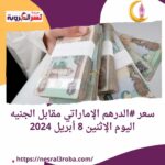 سعر #الدرهم الإماراتي مقابل الجنيه اليوم الإثنين 8 أبريل 2024