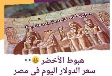 هبوط الأخضر ..سعر الدولار اليوم في مصر الجمعة 5 أبريل 2024